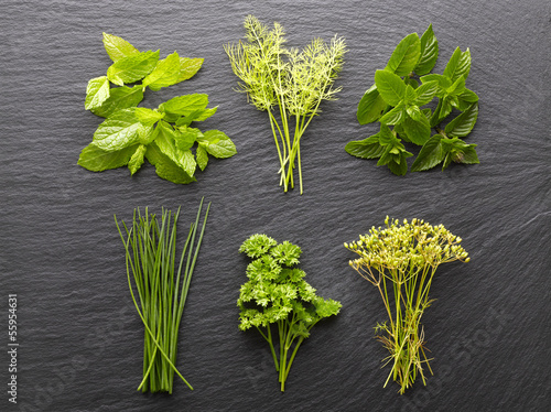 Photo: Herbs Herbs