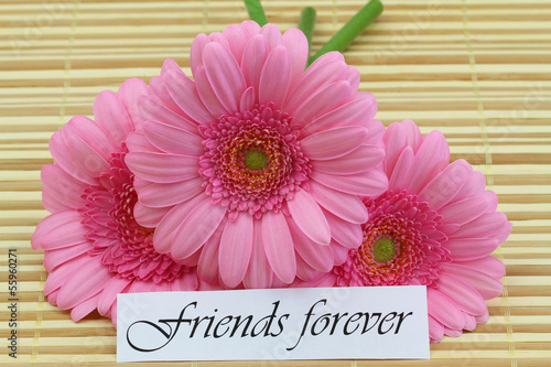 Photo: Friends forever card with pink gerbera daisies Friends forever card with pink gerbera daisies