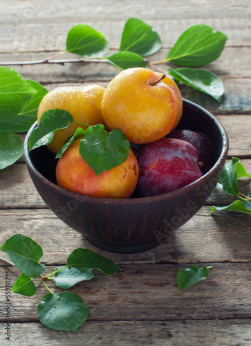 Photo: Plums in clay pot Plums in clay pot
