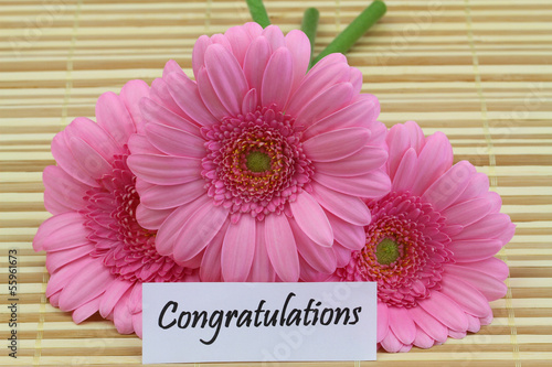Photo: Congratulations card with pink gerbera daisies Congratulations card with pink gerbera daisies