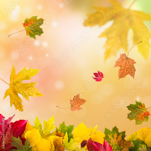 Photo: herbstzeit herbstzeit