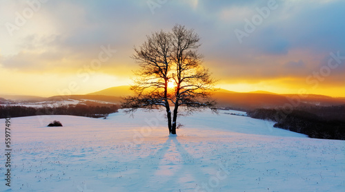 Photo: Winter landscape in snow nature with sun and tree Winter landscape in snow nature with sun and tree