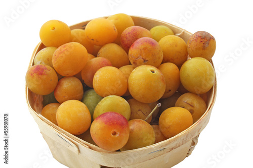 Photo: Gros plan sur les mirabelles Gros plan sur les mirabelles