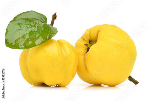 Photo: Ripe yellow quinces Ripe yellow quinces