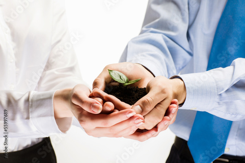 Photo: Sprout in hands Sprout in hands