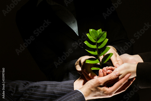 Photo: Sprout in hands Sprout in hands