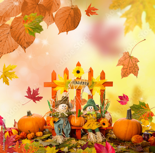 Photo: halloween halloween