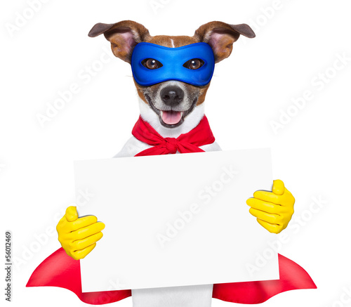 Photo: super hero dog super hero dog