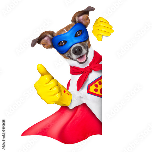 Photo: super hero dog super hero dog