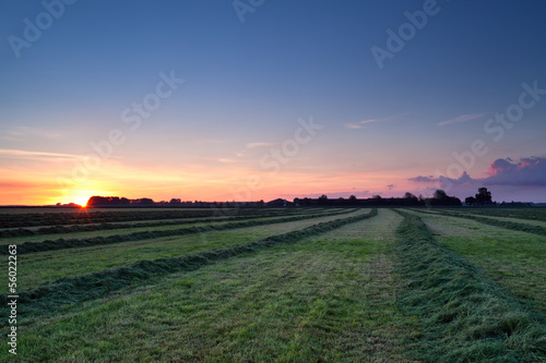 Photo: rows of hay at sunrise rows of hay at sunrise