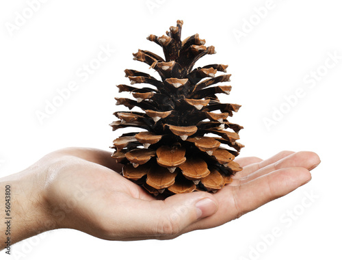 Photo: Cone Cone