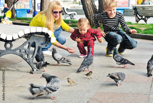 Photo: family feeding doves family feeding doves