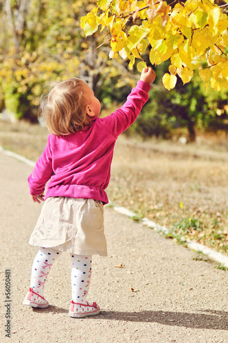 Photo: baby girl with autumn leaves baby girl with autumn leaves