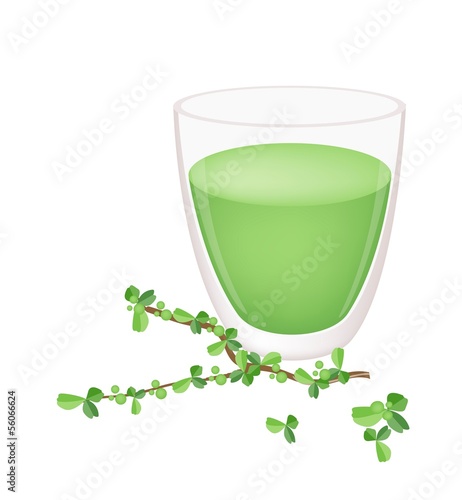 Vector: A Glass of Green Tea with Green Leaves A Glass of Green Tea with Green Leaves