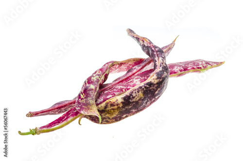 Photo: Red bean pod Red bean pod