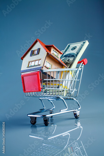 Photo: shopping cart and house shopping cart and house