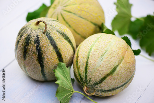 Photo: Melonen Melonen