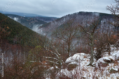 Photo: Harz mountains if winter fog Harz mountains if winter fog