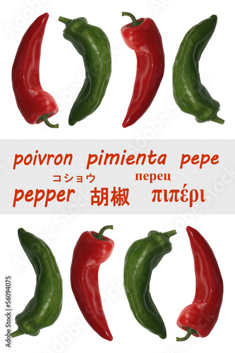Photo: Poivron Pepper Pimienta Pepe . . . . . . Poivron Pepper Pimienta Pepe . . . . . .