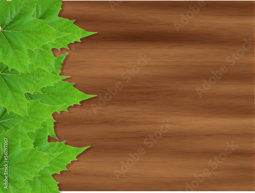 Illustration: Madeira com Moldura de Folhas Madeira com Moldura de Folhas