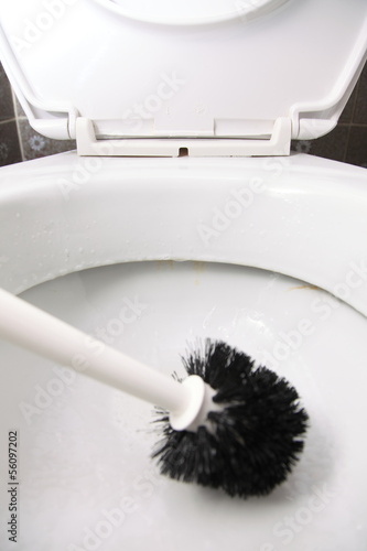 Photo: cleaning a toilet bowl with brush cleaning a toilet bowl with brush