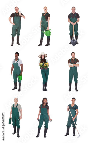 Photo: Group Of Gardener Workers Group Of Gardener Workers