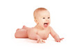 happy naked baby isolated happy naked baby isolated