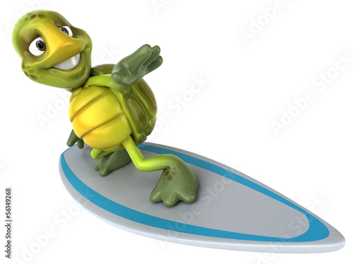 Illustration: Turtle Turtle