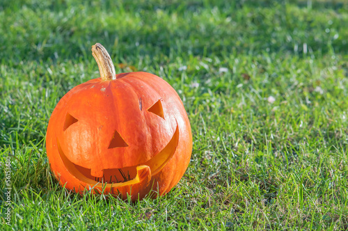 Photo: halloween halloween