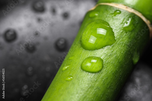 Photo: Bamboo with waterdrops Bamboo with waterdrops
