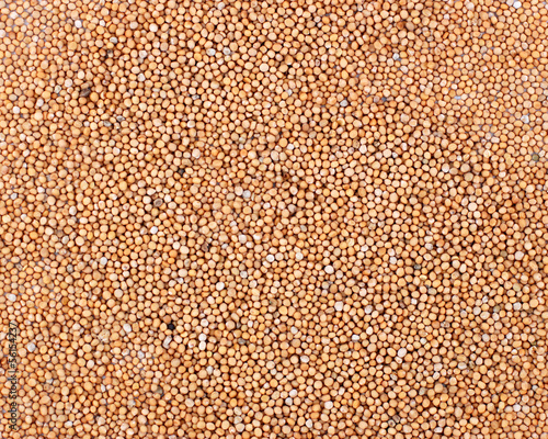 Photo: Mustard seeds background Mustard seeds background