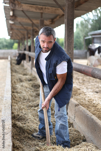 Photo: farmer spreding, straw farmer spreding, straw