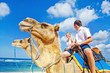 camel ride on wedding day camel ride on wedding day