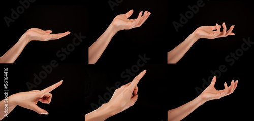 Photo: a woman's hand in different positions a woman's hand in different positions