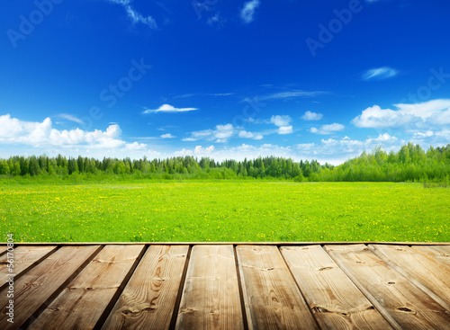 Photo: spring field and wood floor spring field and wood floor