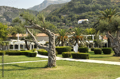 Photo: Park Park