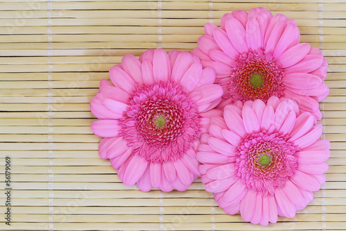 Photo: Pink gerbera daisies on bamboo mat with copy space Pink gerbera daisies on bamboo mat with copy space