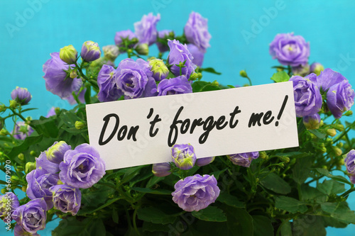 Photo: Don't forget me card with purple campanula flowers Don't forget me card with purple campanula flowers