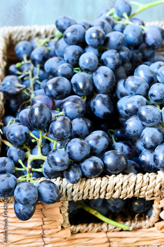 Photo: Black grape Black grape