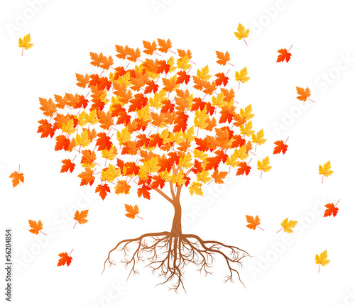 Vector: Maple tree autumn leaves background vector Maple tree autumn leaves background vector