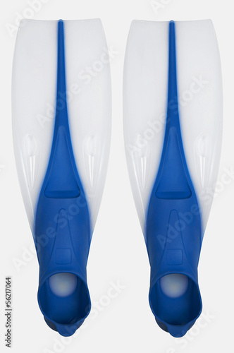 Photo: Flippers Flippers