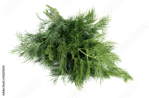 Illustration: Dill Dill