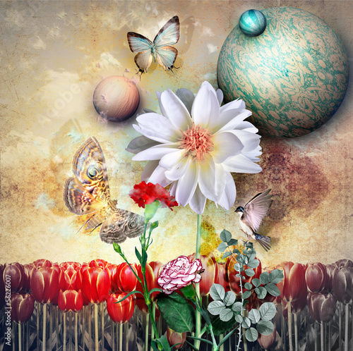 Illustration: Fairyland series Fairyland series