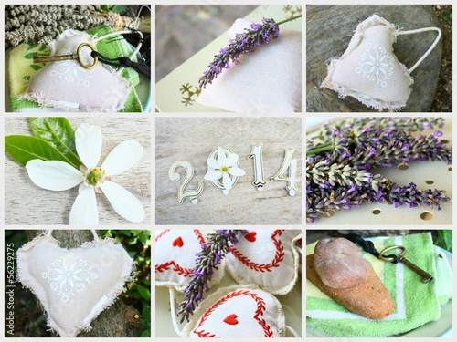 Photo: année 2014,composition nature, bio année 2014,composition nature, bio