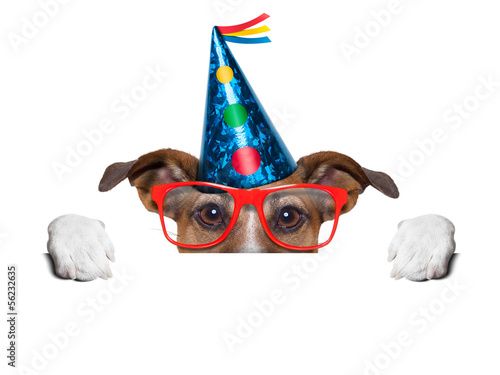 Photo: birthday dog birthday dog
