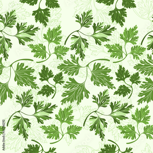 Vector: Seamless pattern with parsley Seamless pattern with parsley