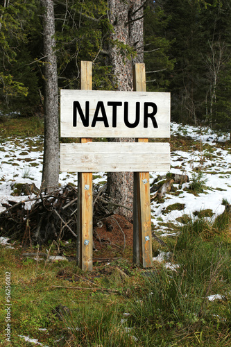 Illustration: Natur Natur