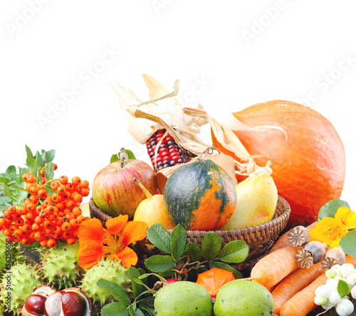 Photo: Bunte Herbstfrüchte vor weißem Hintergrund Bunte Herbstfrüchte vor weißem Hintergrund