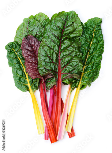 Photo: Swiss chard Rainbow Swiss chard Rainbow