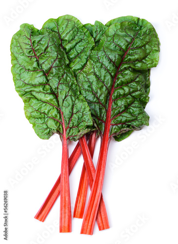 Photo: Swiss chard Swiss chard